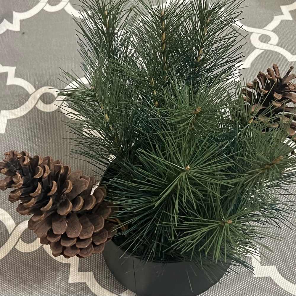 Christmas - Project 62 - Decorative arrangement